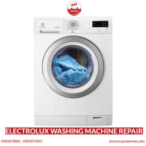 Electrolux Washing Machine Repair