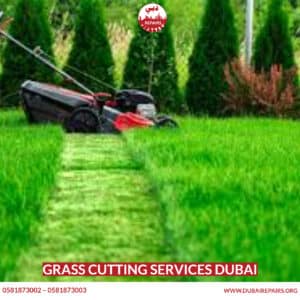 Grass Cutting Services Dubai