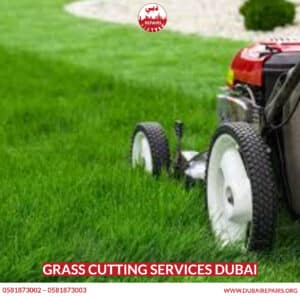 Grass Cutting Services Dubai