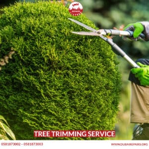 Tree Trimming Service