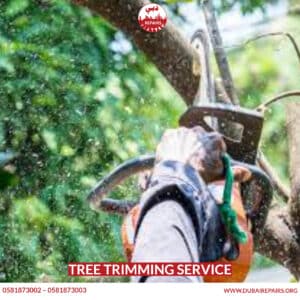 Tree Trimming Service
