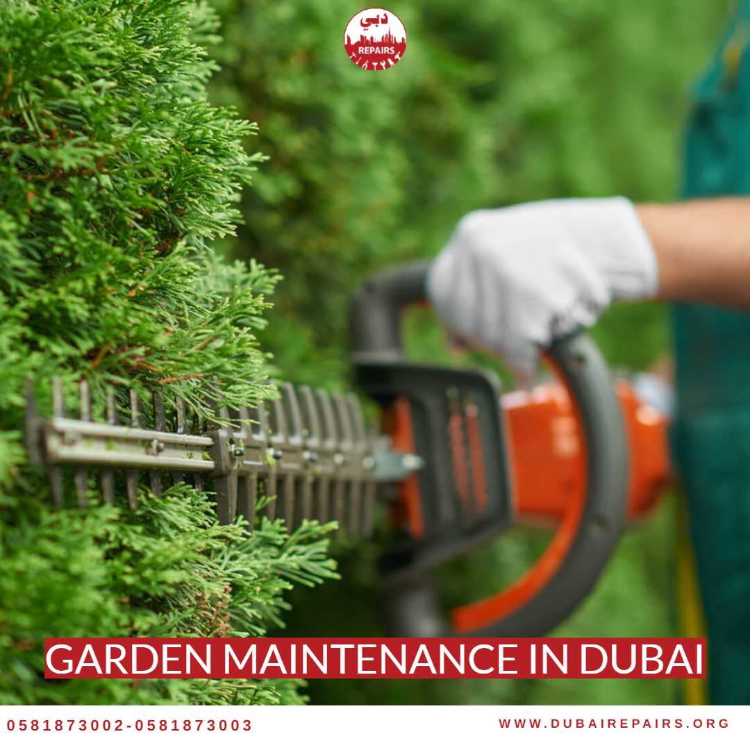 Gardener trimming hedges in a Dubai residential garden