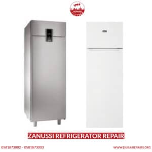 Zanussi Refrigerator Repair
