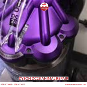 Dyson DC28 Animal Repair