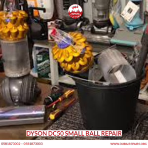 Dyson DC50 Small Ball Repair