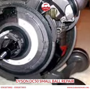 Dyson DC50 Small Ball Repair