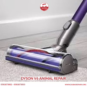 Dyson V6 Animal Repair