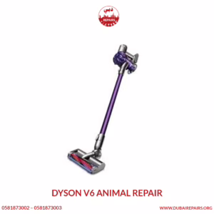 Dyson V6 Animal Repair