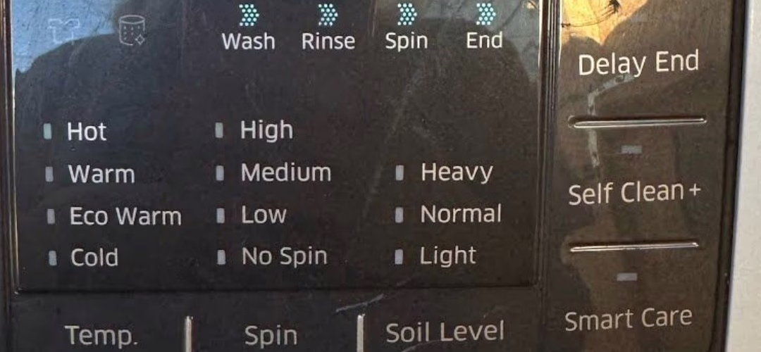Samsung Washing Machine dE1 Error Repair