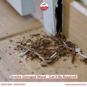 Termite-Damaged Wood – Can It Be Repaired