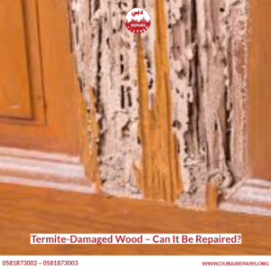 Termite-Damaged Wood – Can It Be Repaired