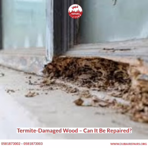 Termite-Damaged Wood – Can It Be Repaired