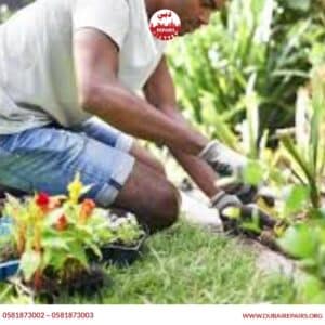 Affordable Gardening Services Without Compromising Quality