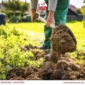 Common Gardening Mistakes Homeowners Make
