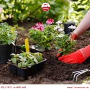 Garden Maintenance Checklist for Homeowners