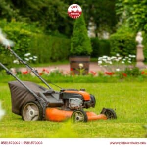 Garden Maintenance Checklist for Homeowners