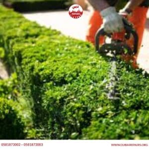 Garden Maintenance Checklist for Homeowners
