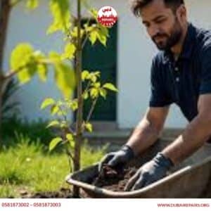 Pruning and trimming garden plants