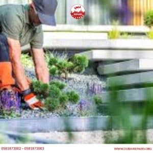 Watering and fertilising home garden plants