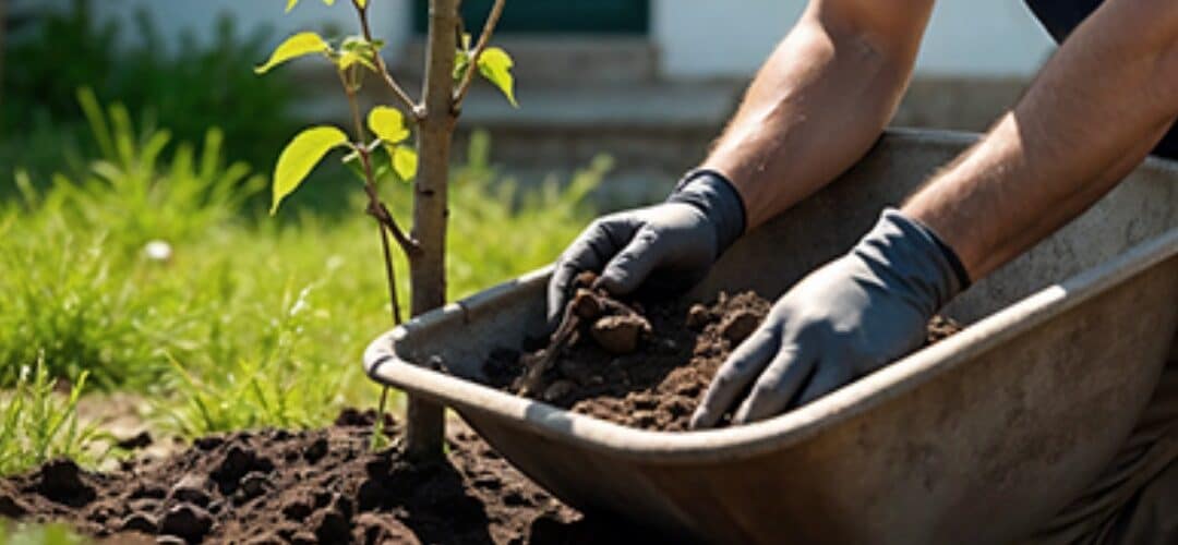 Seasonal Gardening Services_ Preparing Your Garden for Summer and Winter