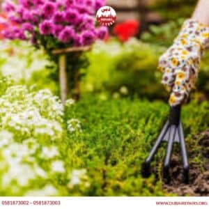 Seasonal Gardening Services_ Preparing Your Garden for Summer and Winter